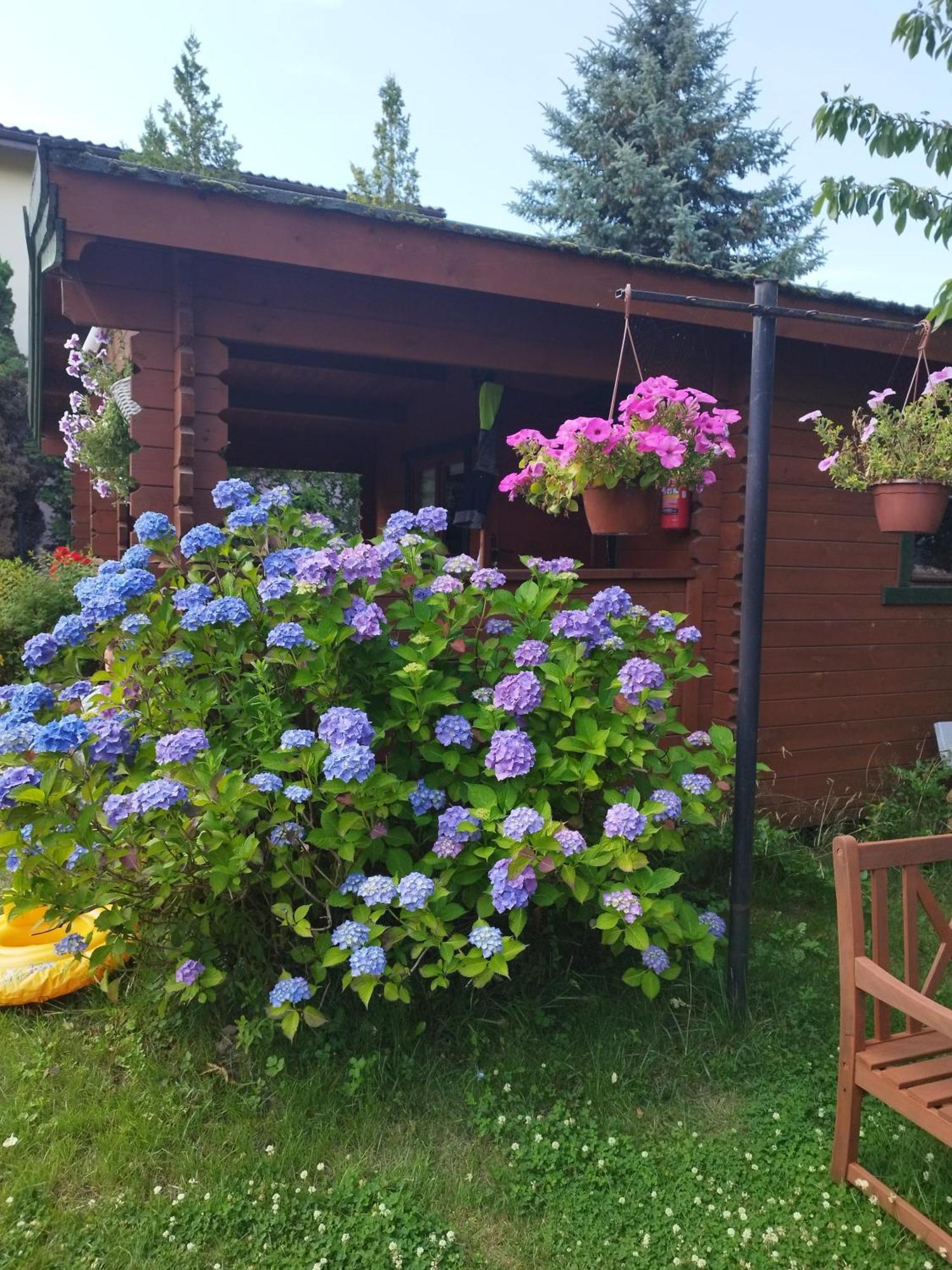 Szyper Pokoje Władysławowo Esterno foto